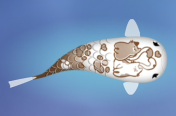 neko_shikatsu